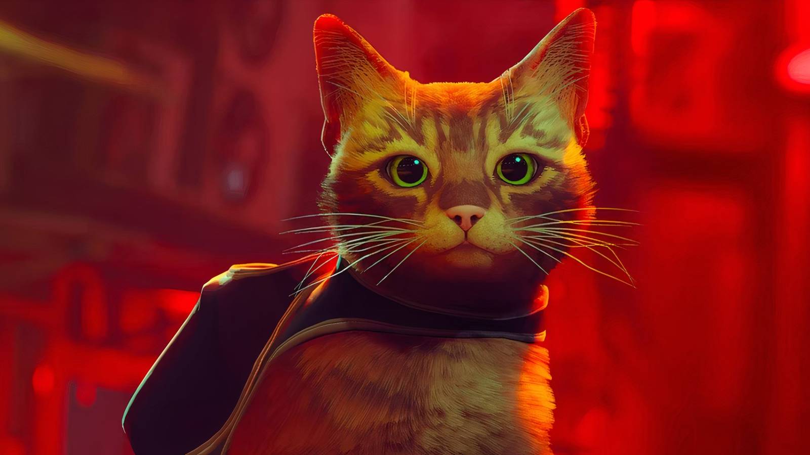 Stray - Nintendo Switch Launch Trailer