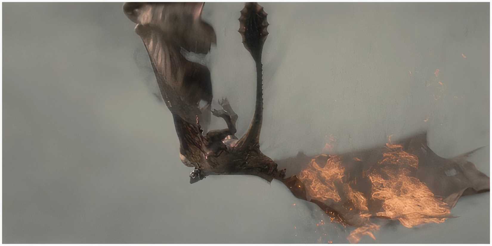 Sunfyre and Aegon dup House of the Dragon.