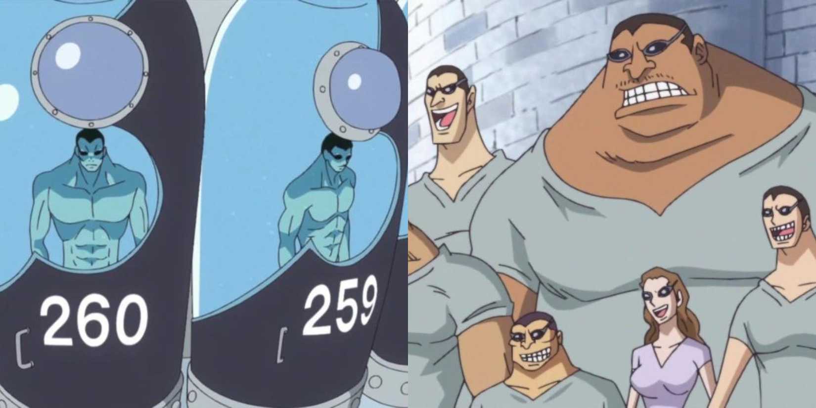 The different Clone Soldiers of the Germa Kingdom.