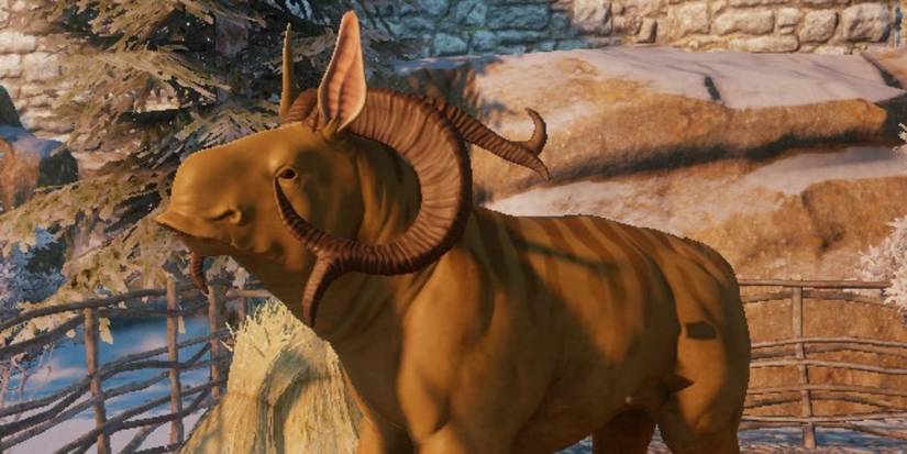 Tiddles Majoris mount from Dragon Age Inquisition