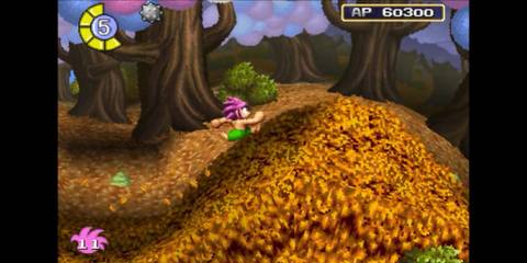 tomba-special-edition-dwarf-forest