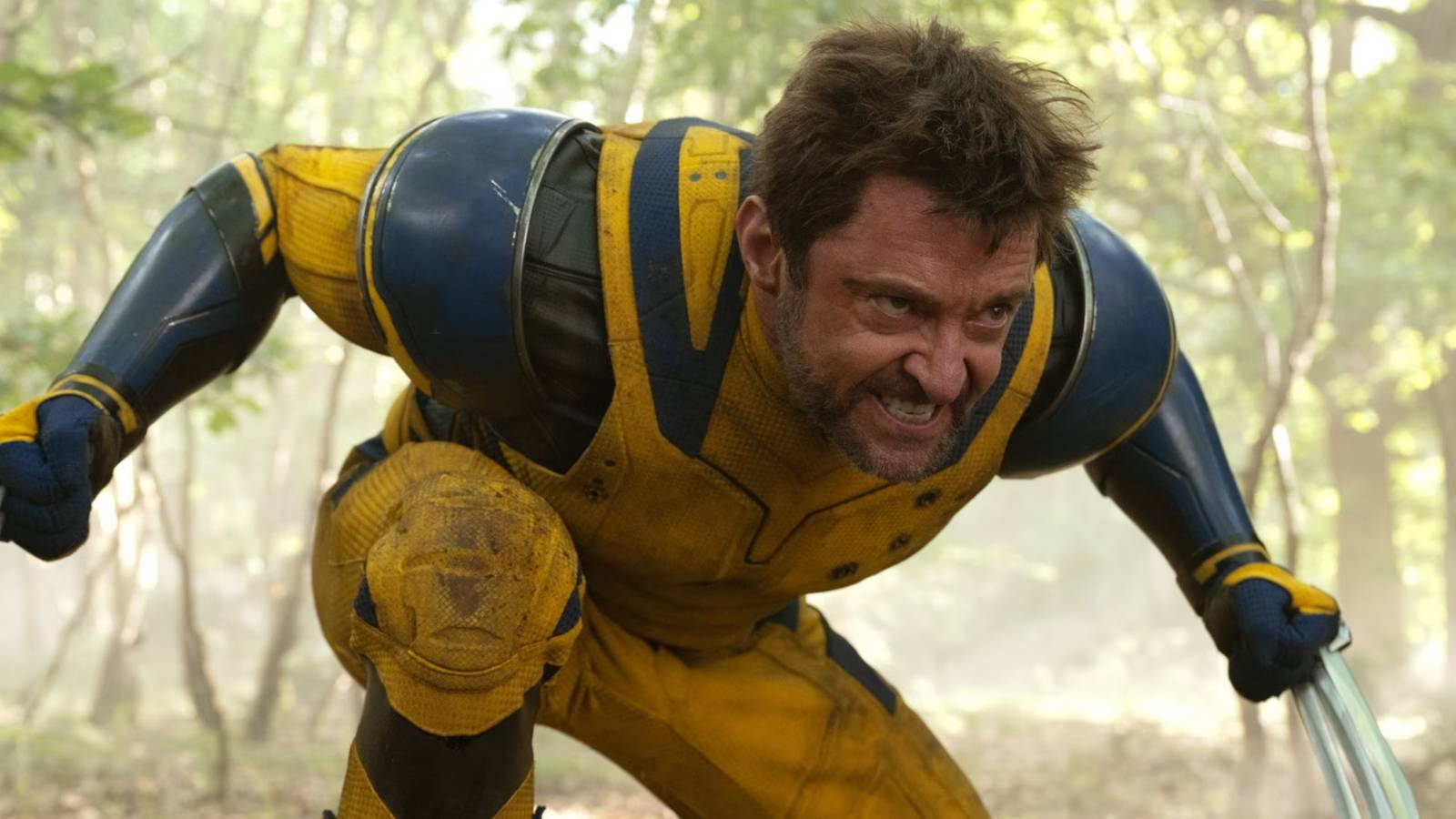 Xbox Wolverine Controller