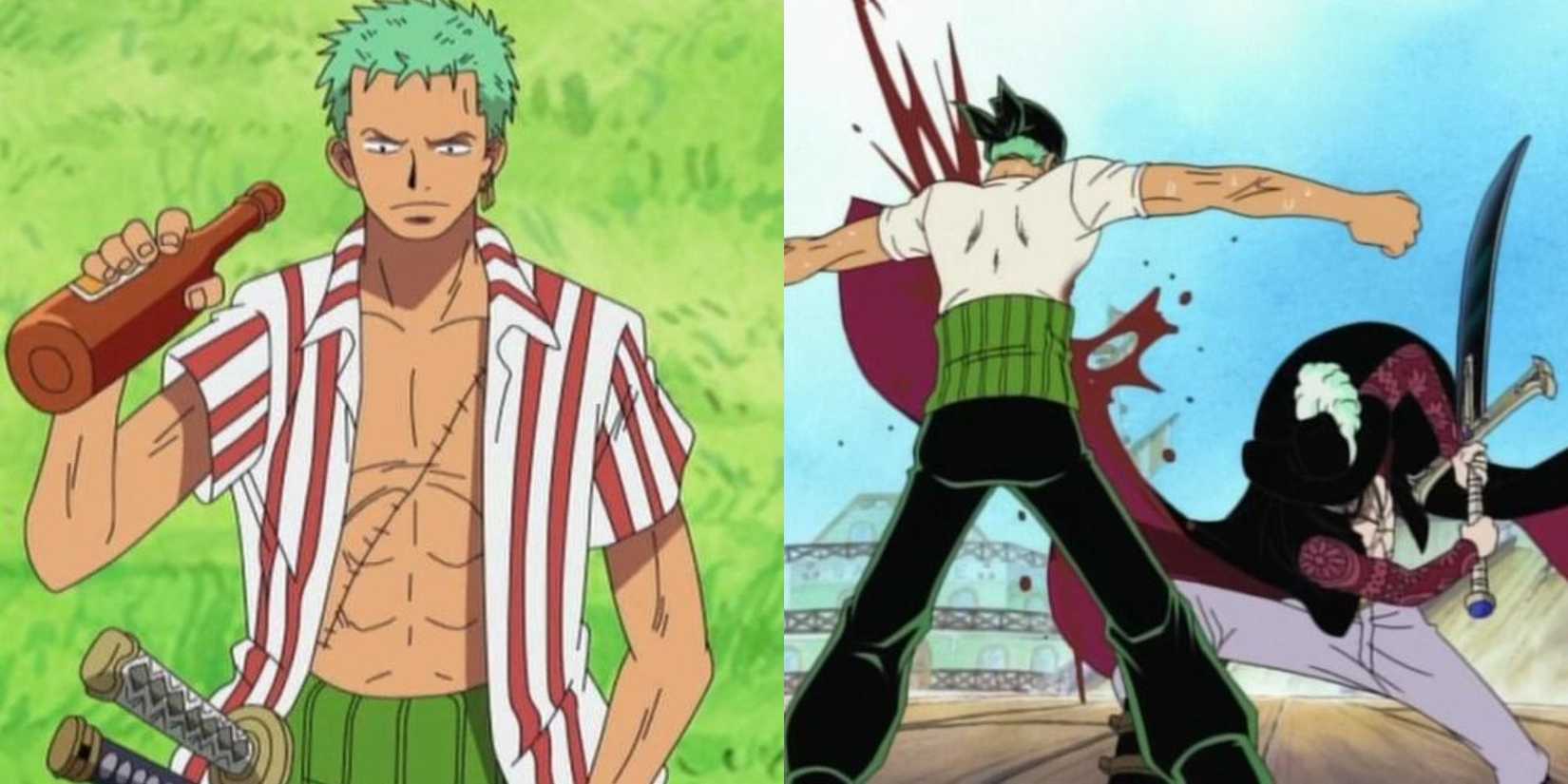 Zoro walks around in Saobody and Mihawk defeats Zoro by slashing his chest.