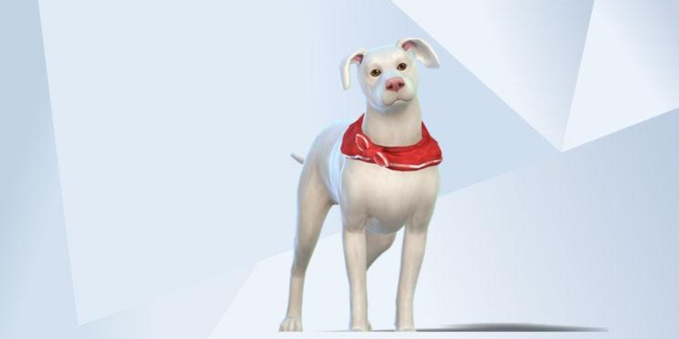 A picture of Krypto, DC's superdog, recreated in The Sims 4 