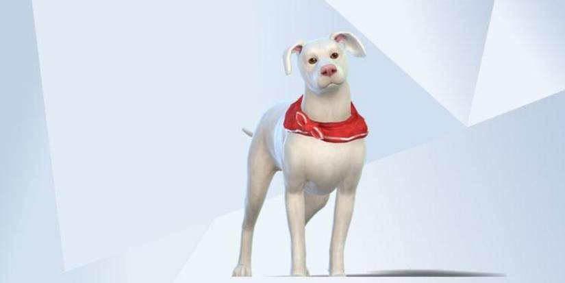An image of Krypto the Superdog from DC recreated in The Sims 4 