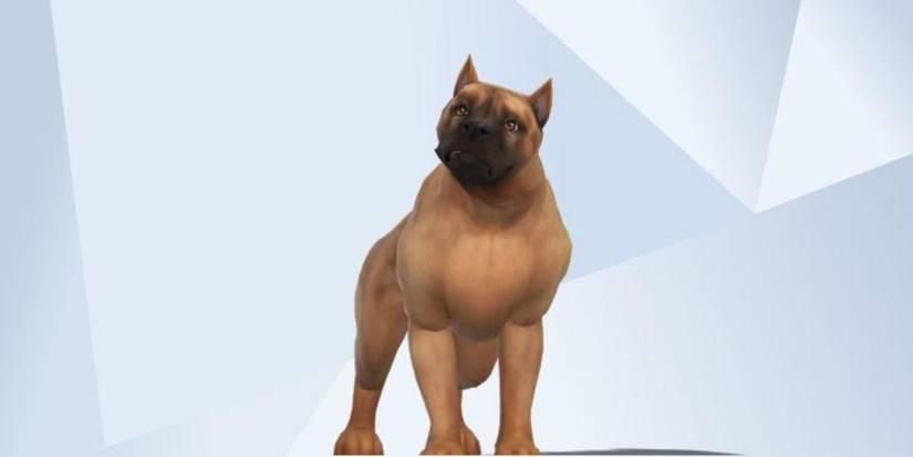 An image of a Mabari Hound from Dragon Age made in The Sims 4