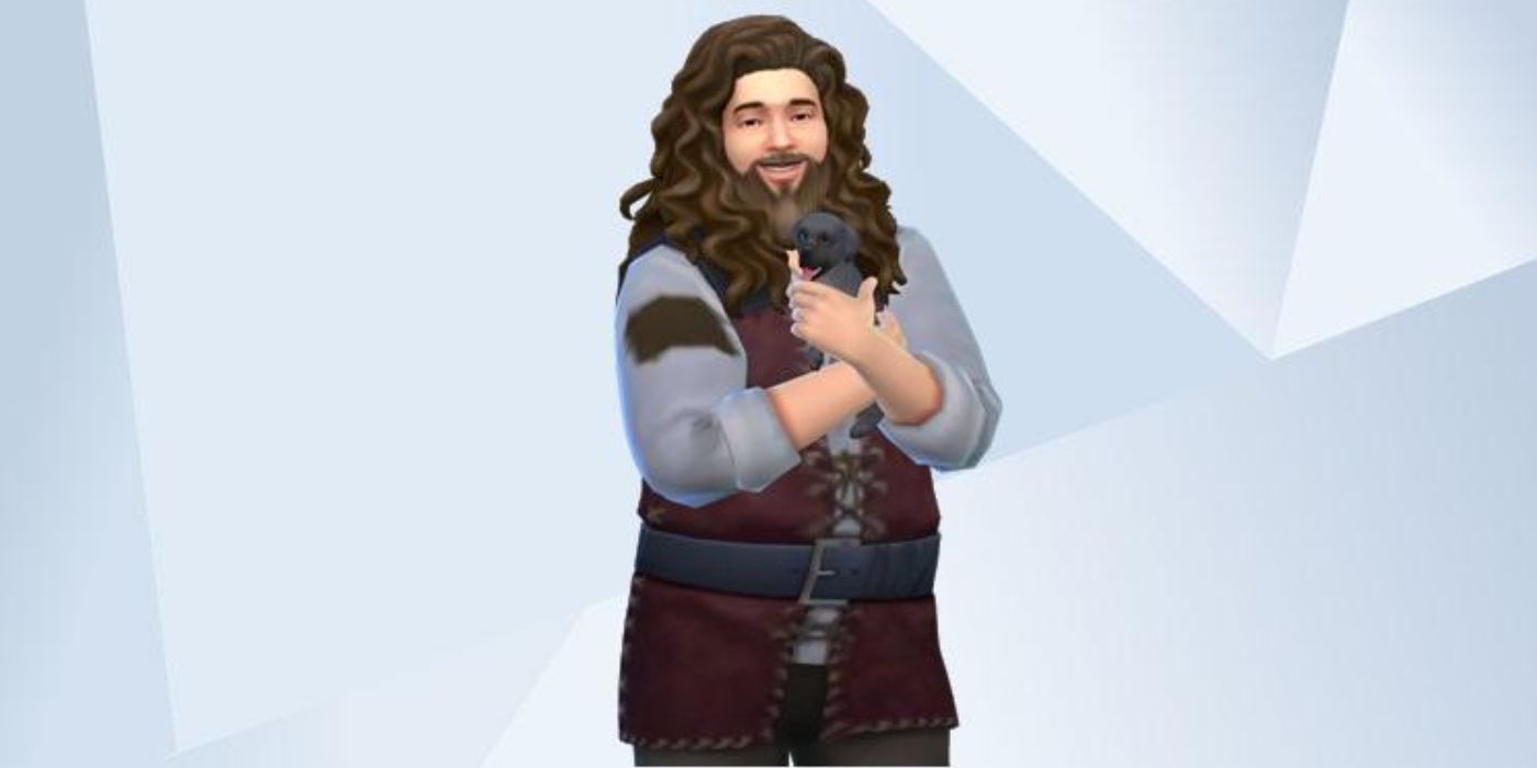 Best Harry Potter Characters In The Sims 4 Gallery