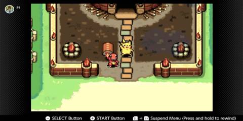 The Player & Their Partner