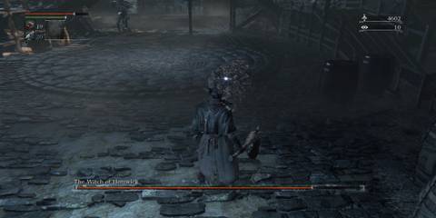 The Player Fighting The Witch Of Hemwick 