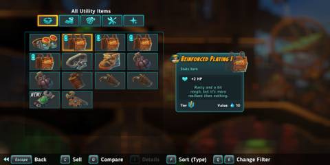 An Equipment Option That Increases Maximum Health 