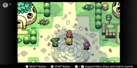 The Path To Whiscash Pond