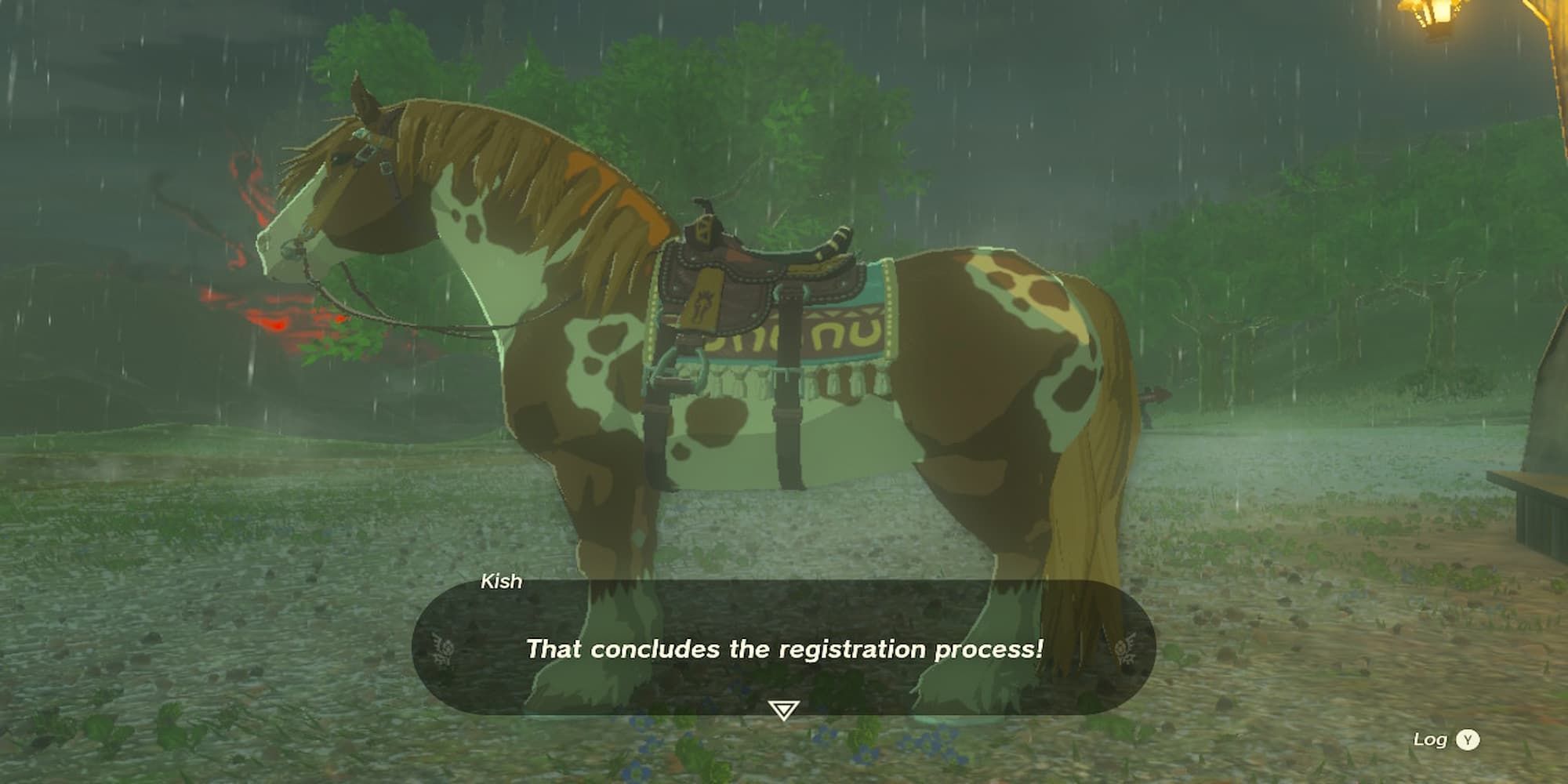 A Horse Being Registered 