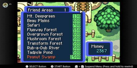 The Player Purchasing New Friend Areas