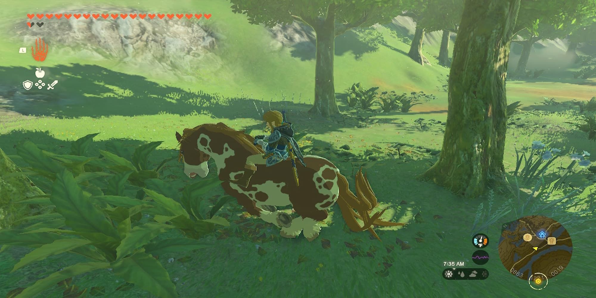 The Player Riding A Wild Horse