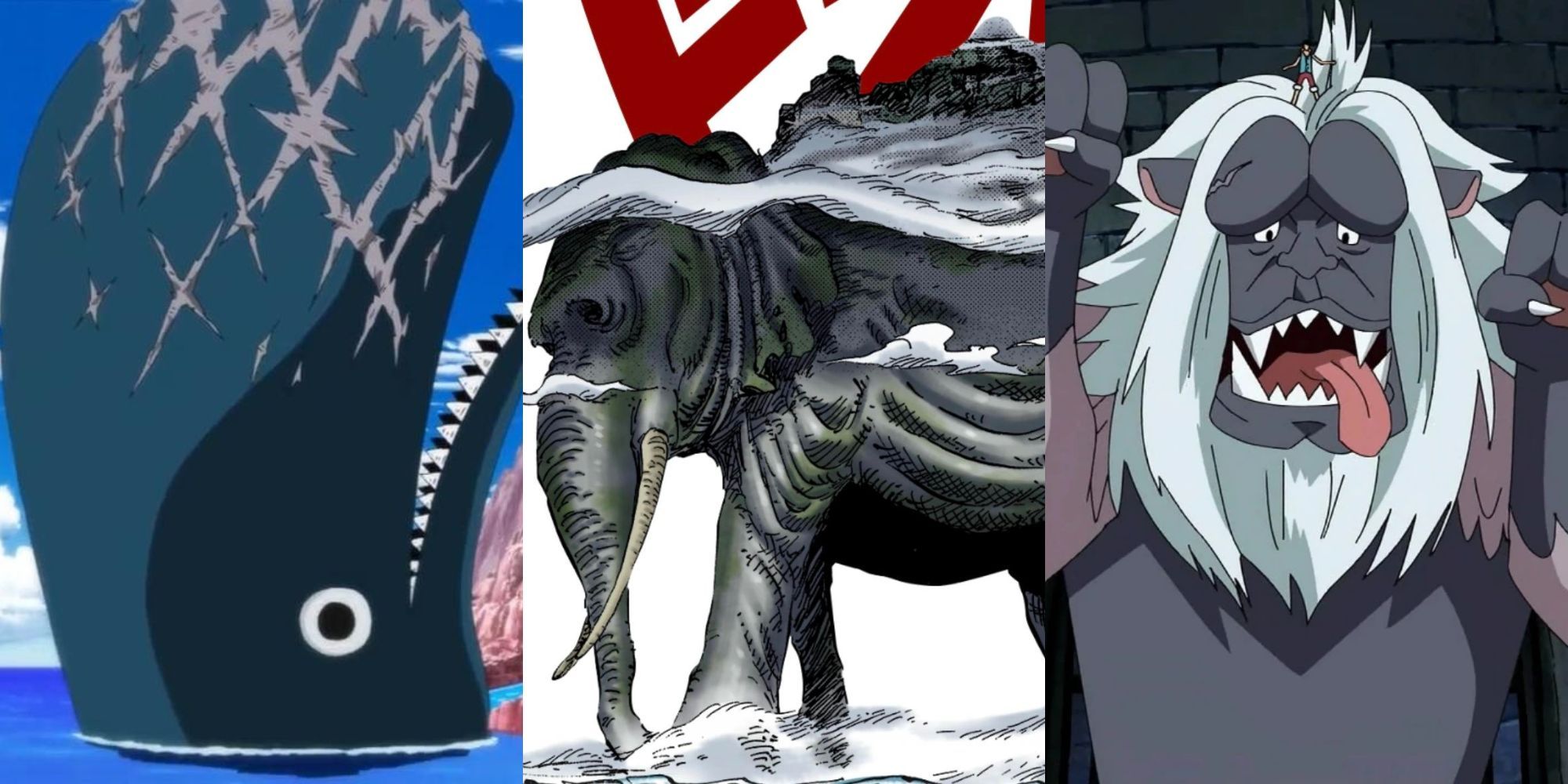 Strangest Animal Species In One Piece