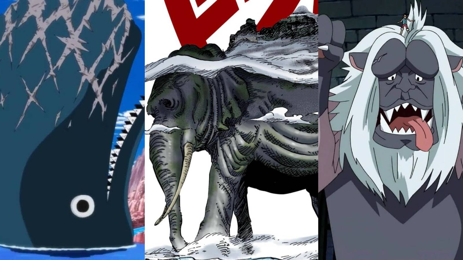 A collage of several weird animal species from the One Piece world: Laboon the Island Whale, Zunesha the Naitamie-Norida elephant and the Impel Down Sphinx.