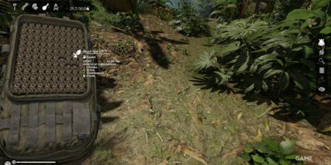 A large supply of Brazil Nuts for fats, carbohydrates, and sanity while surviving in Green Hell