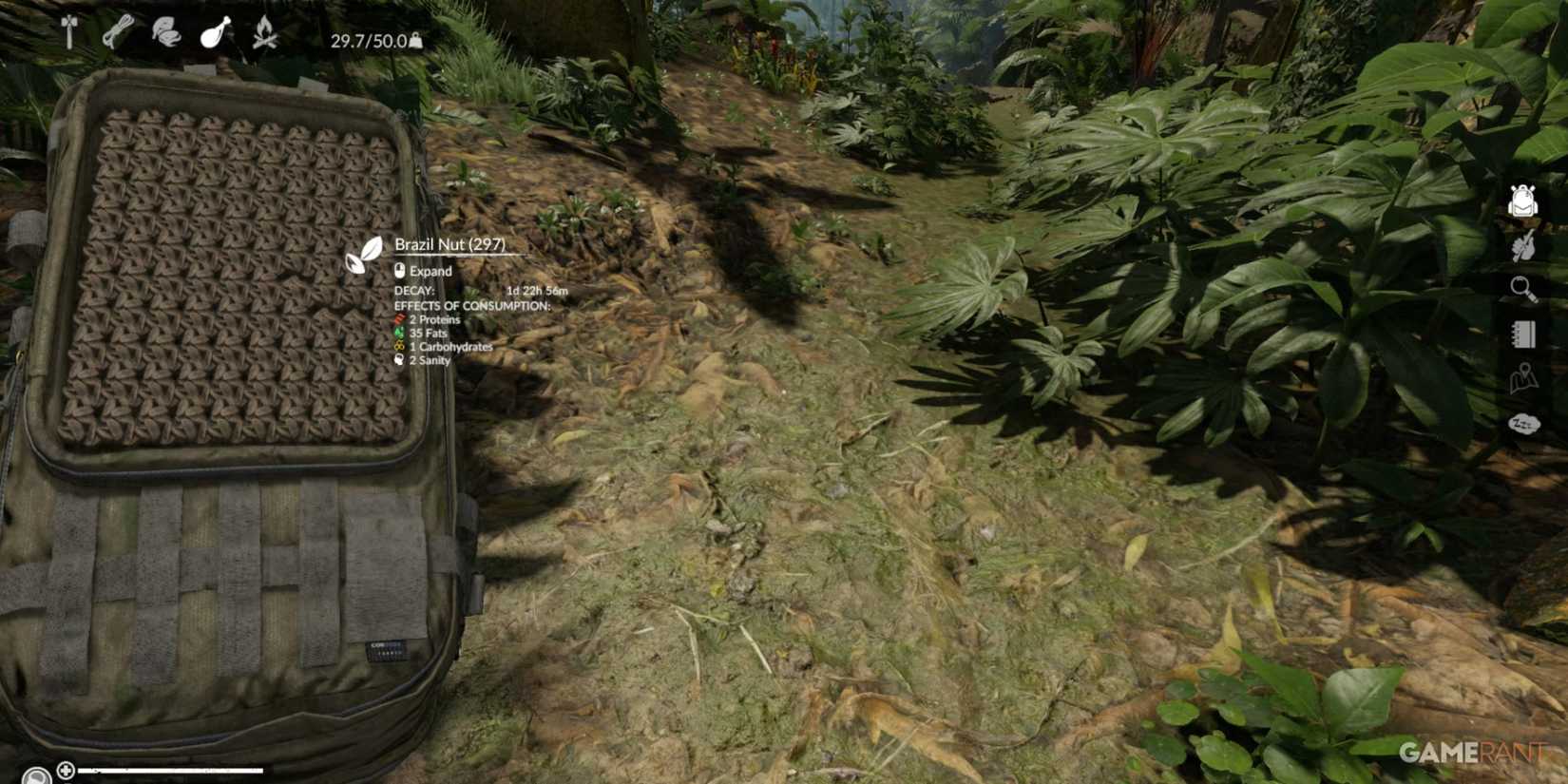 A large supply of Brazil Nuts for fats, carbohydrates, and sanity while surviving in Green Hell