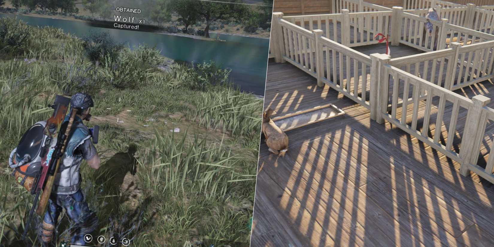 Once Human Base All Tameable Animal Locations in Once Human