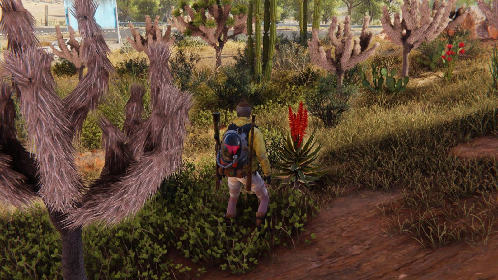 The Aloe Vera plant in Once Human.