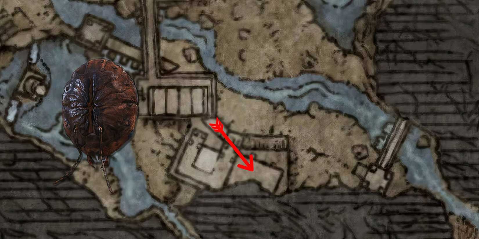 Ant's Skull Plate Location in Elden Ring