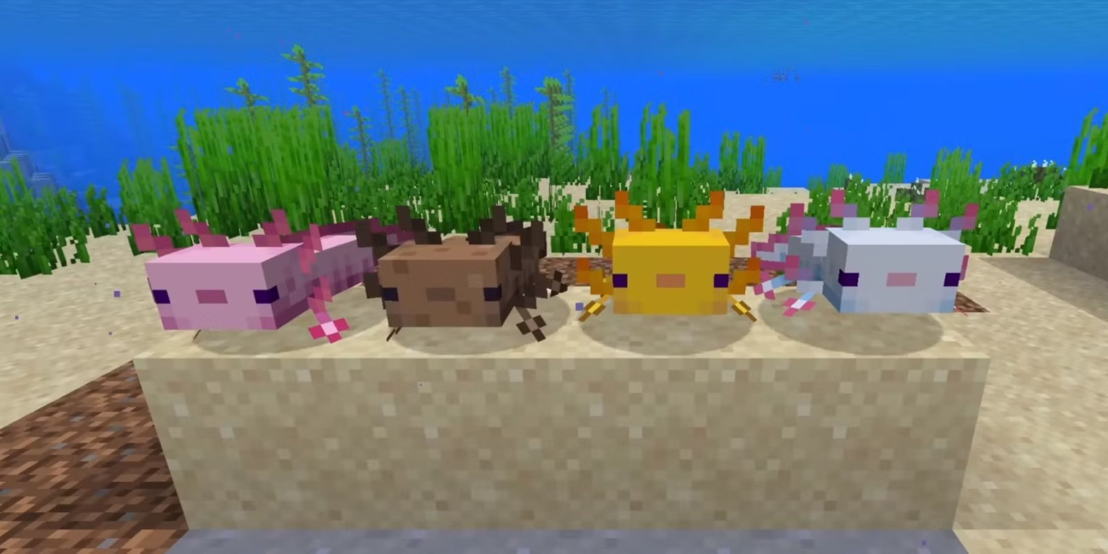 Minecraft: How to Get Blue Axolotl