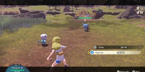 Battling Shinx in Pokemon Legends Arceus