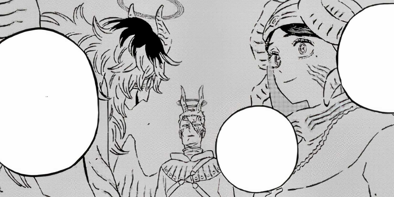 black clover paladins