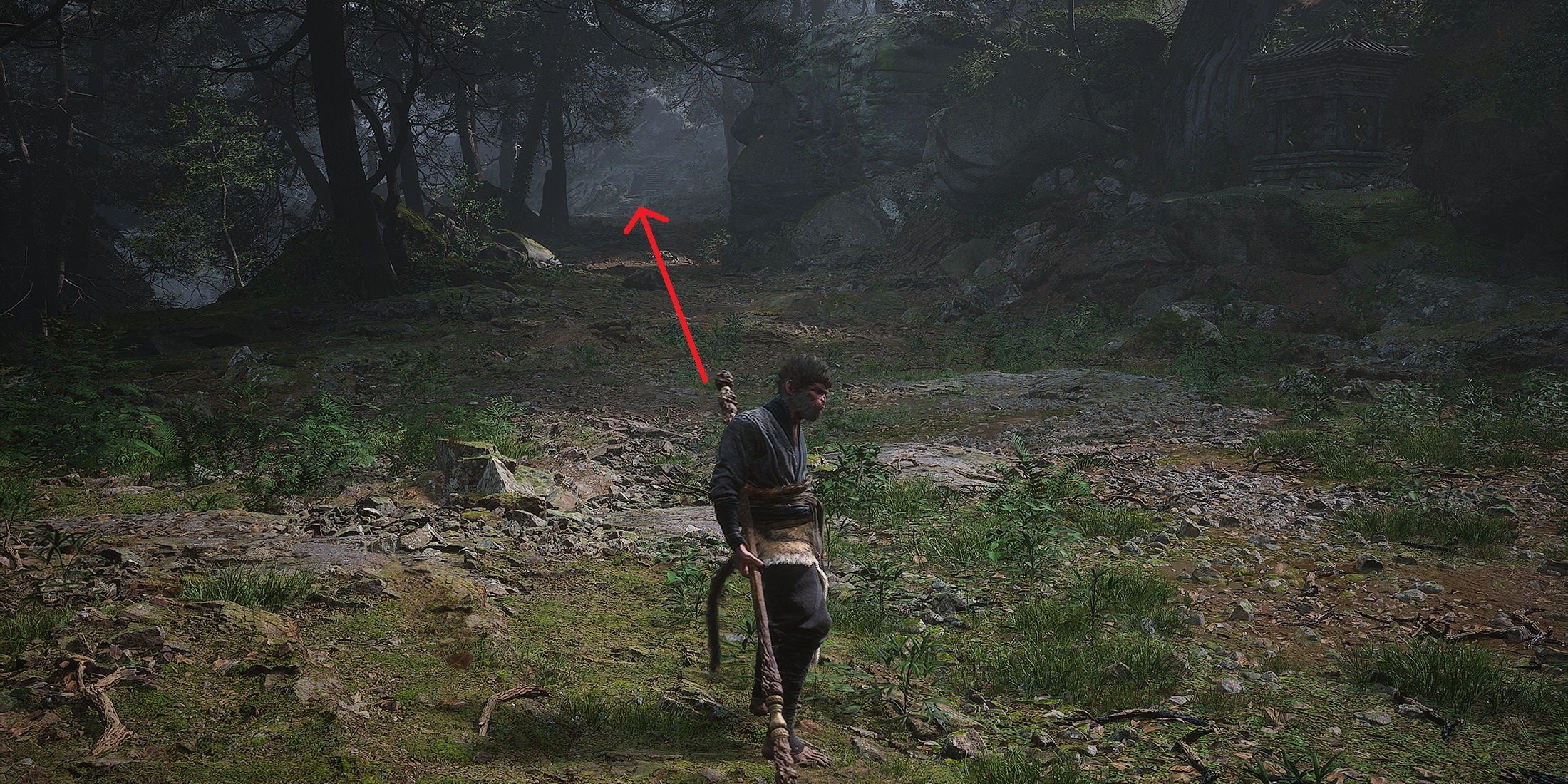 Black Myth: Wukong - Forest of Wolves Walkthrough