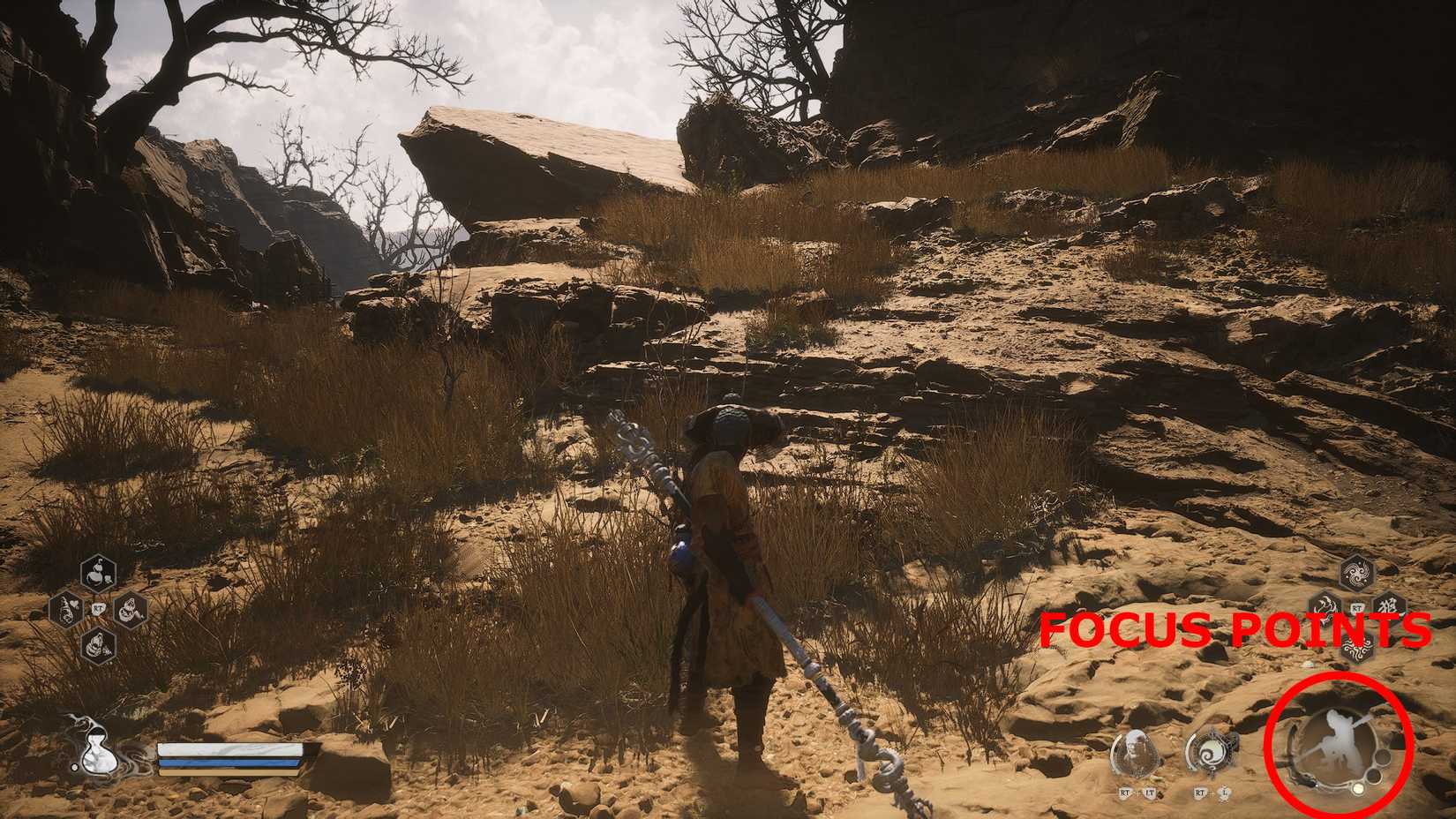 black myth wukong resolute counterflow