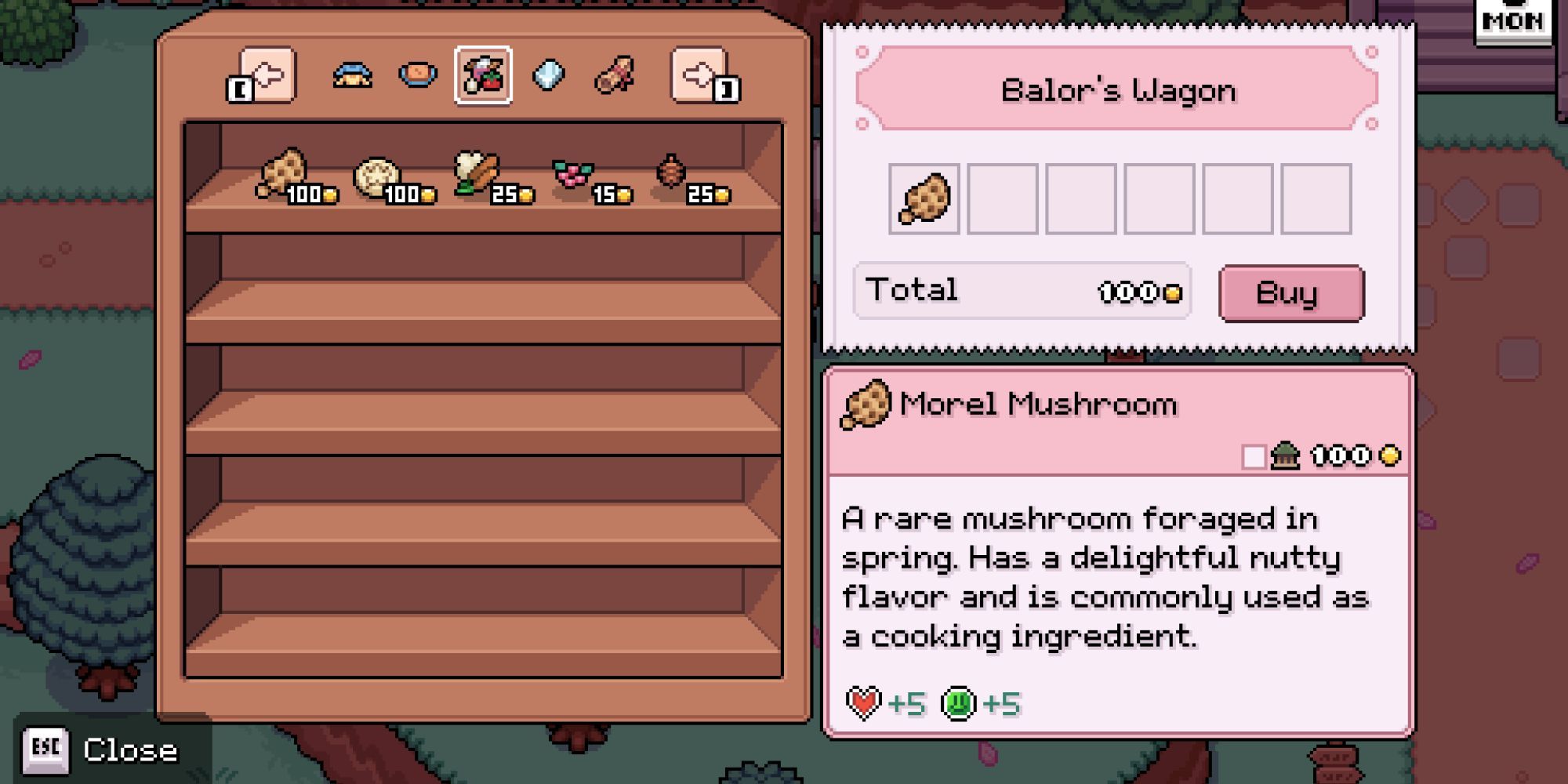 buying a morel mushroom from balor's cart in fields of mistria