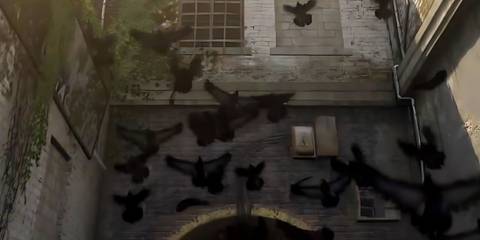 call of duty crow operator