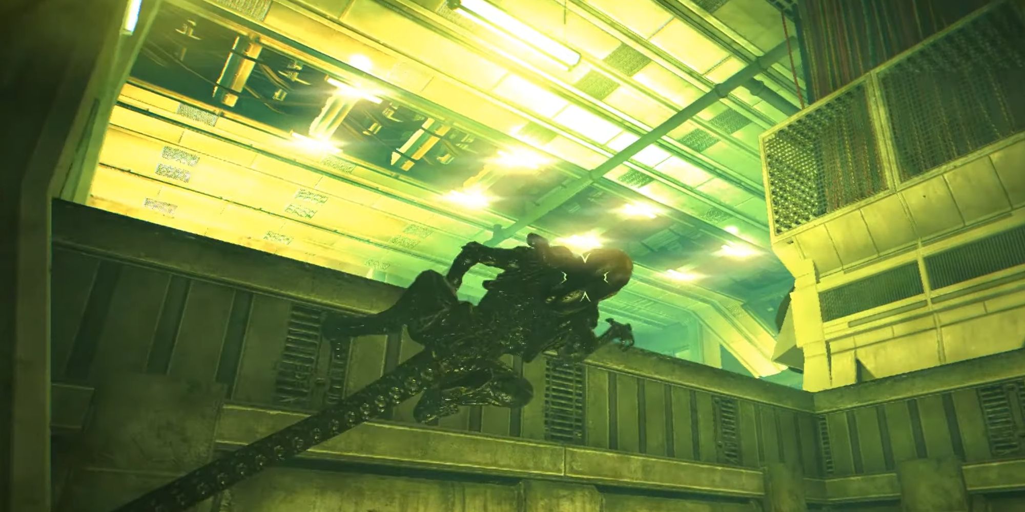 Best Alien Games Where The Xenomorph Is Playable