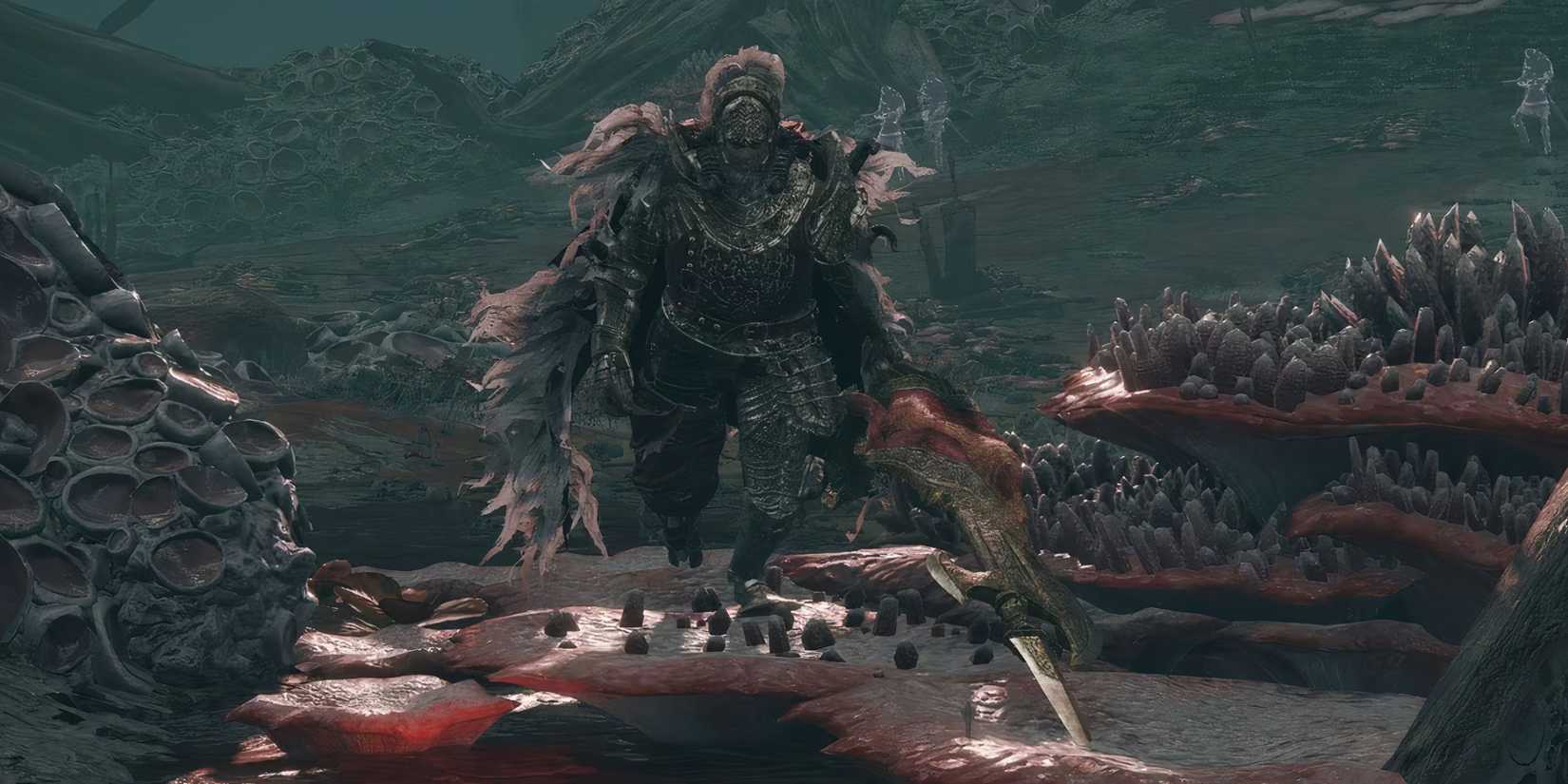 commander o'neil in elden ring