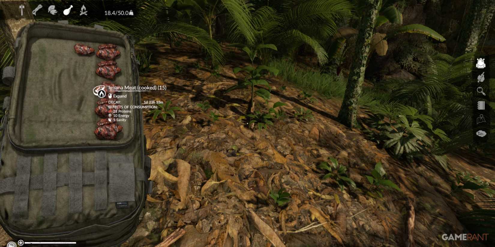 Cooked Iguana Meat offering energy and proteins, perfect for survival in Green Hell