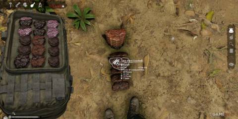 Cooked Tapir Meat with high protein and fat content, vital for maintaining energy in Green Hell