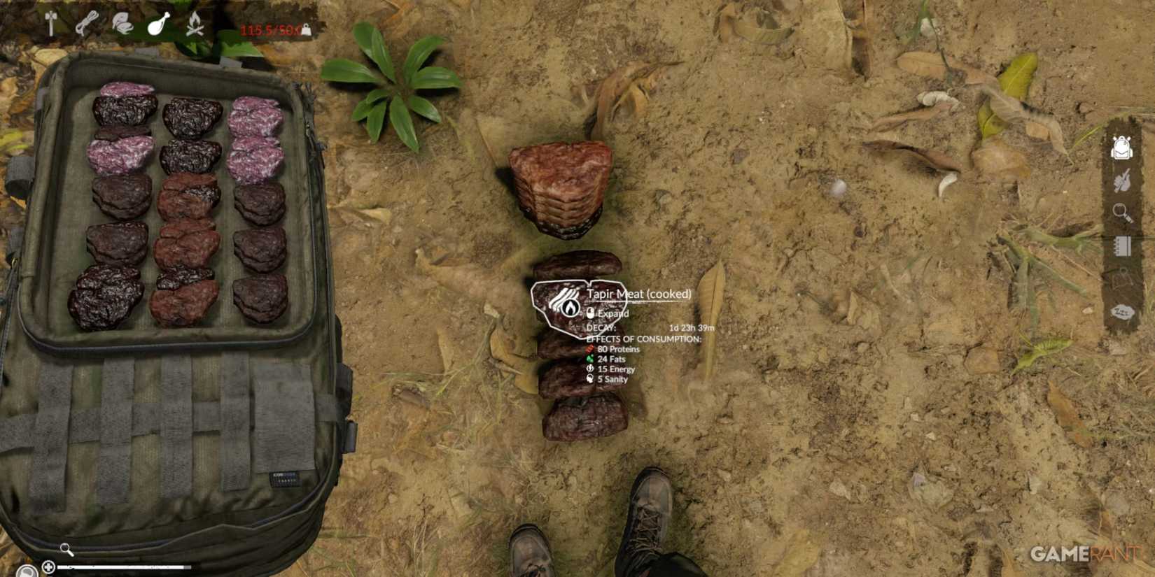 Cooked Tapir Meat with high protein and fat content, vital for maintaining energy in Green Hell