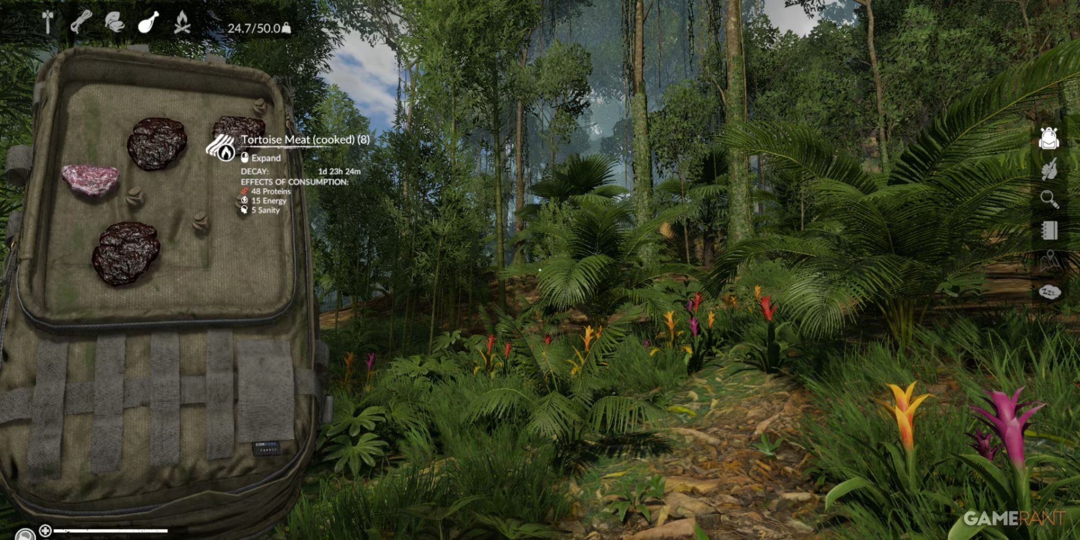 Cooked turtle meat provides protein and sanity amidst a lush jungle in the Green Hell