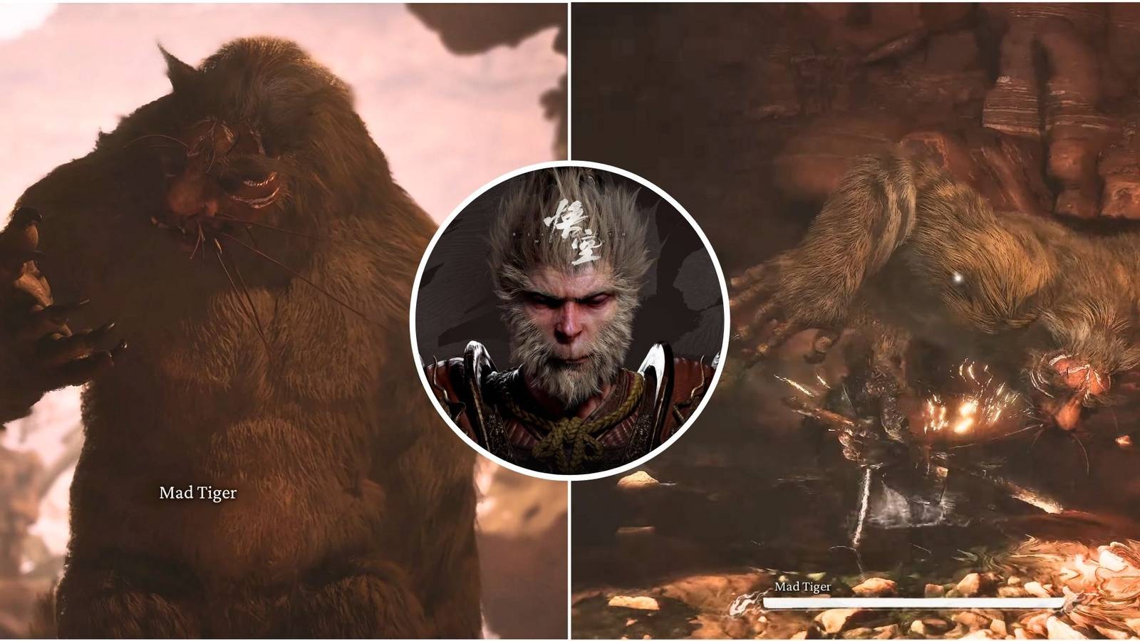 Featured image for Black Myth Wukong showcasing the Mad Tiger