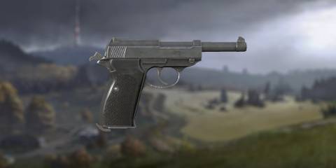 Day Z Best Pistols P1