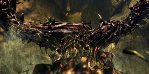 demon's souls leechmonger