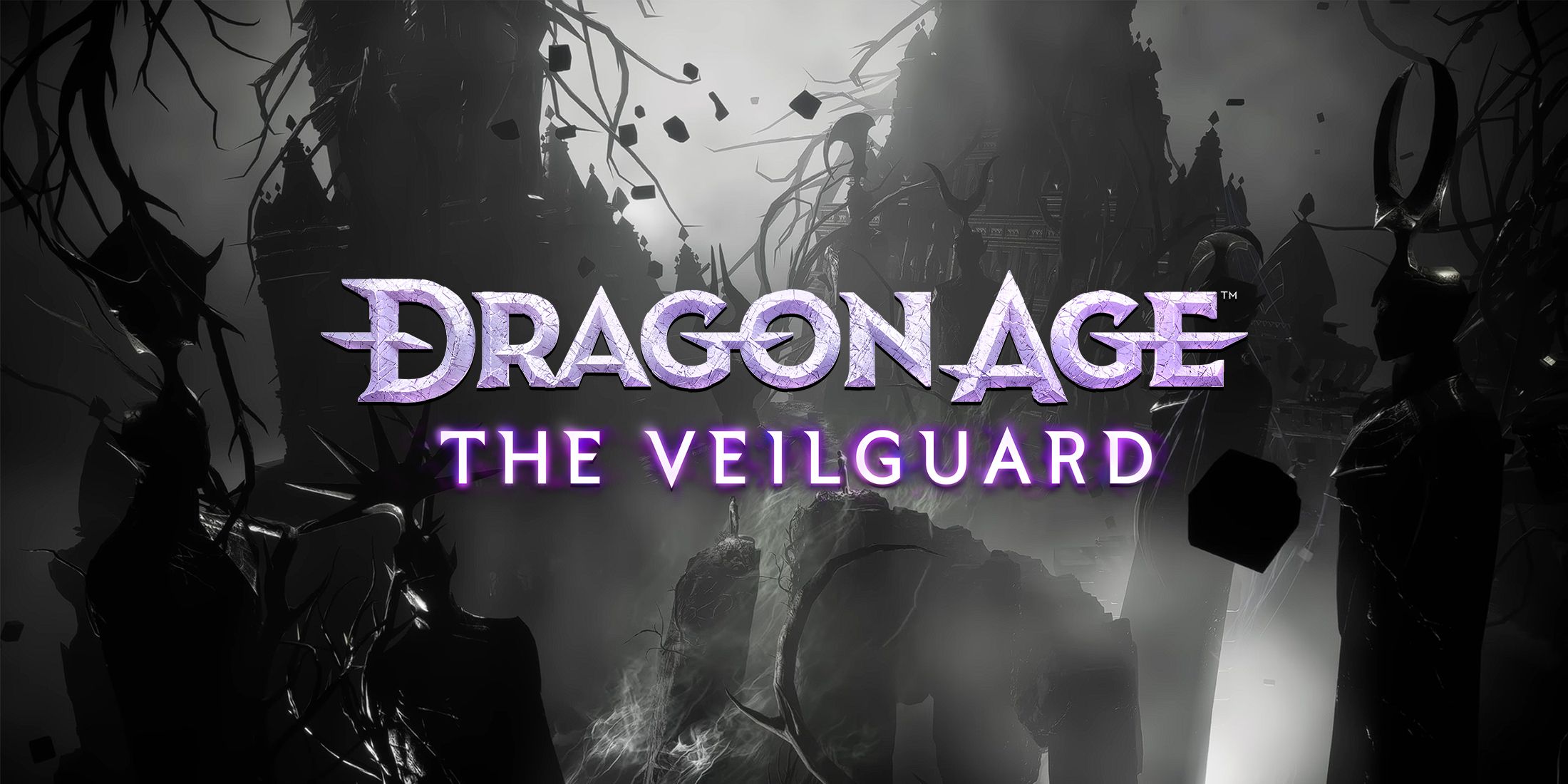 Стали известны системные требования Dragon Age: The Veilguard для ПК