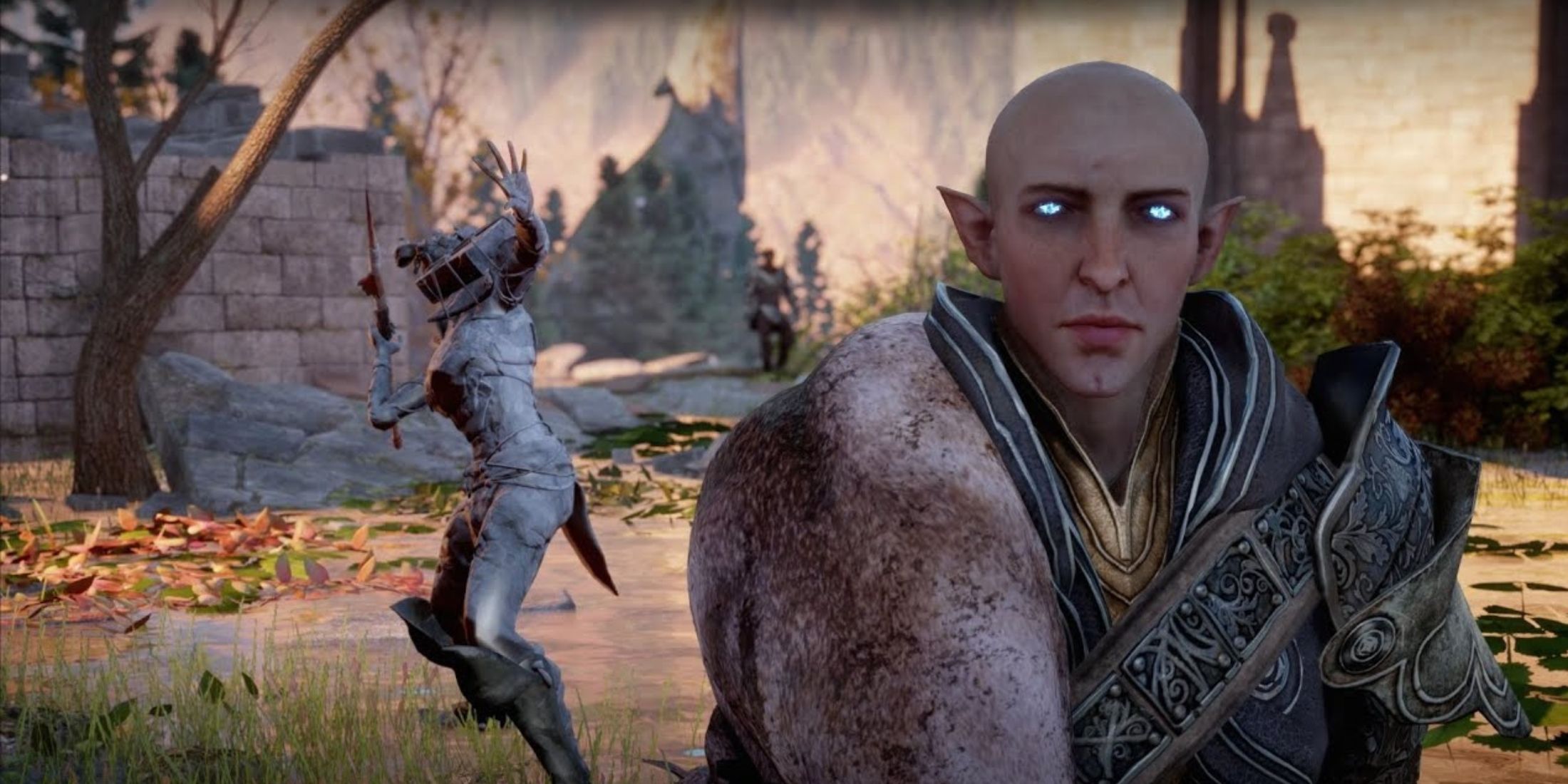 Los mejores compañeros de magos en Dragon Age