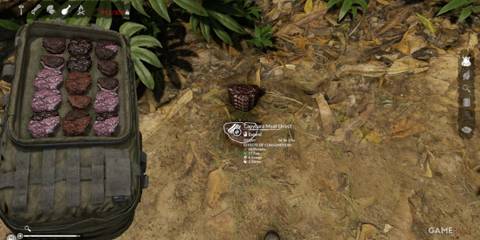 Dried Capybara Meat offering high proteins and fats, crucial for jungle survival in Green Hell