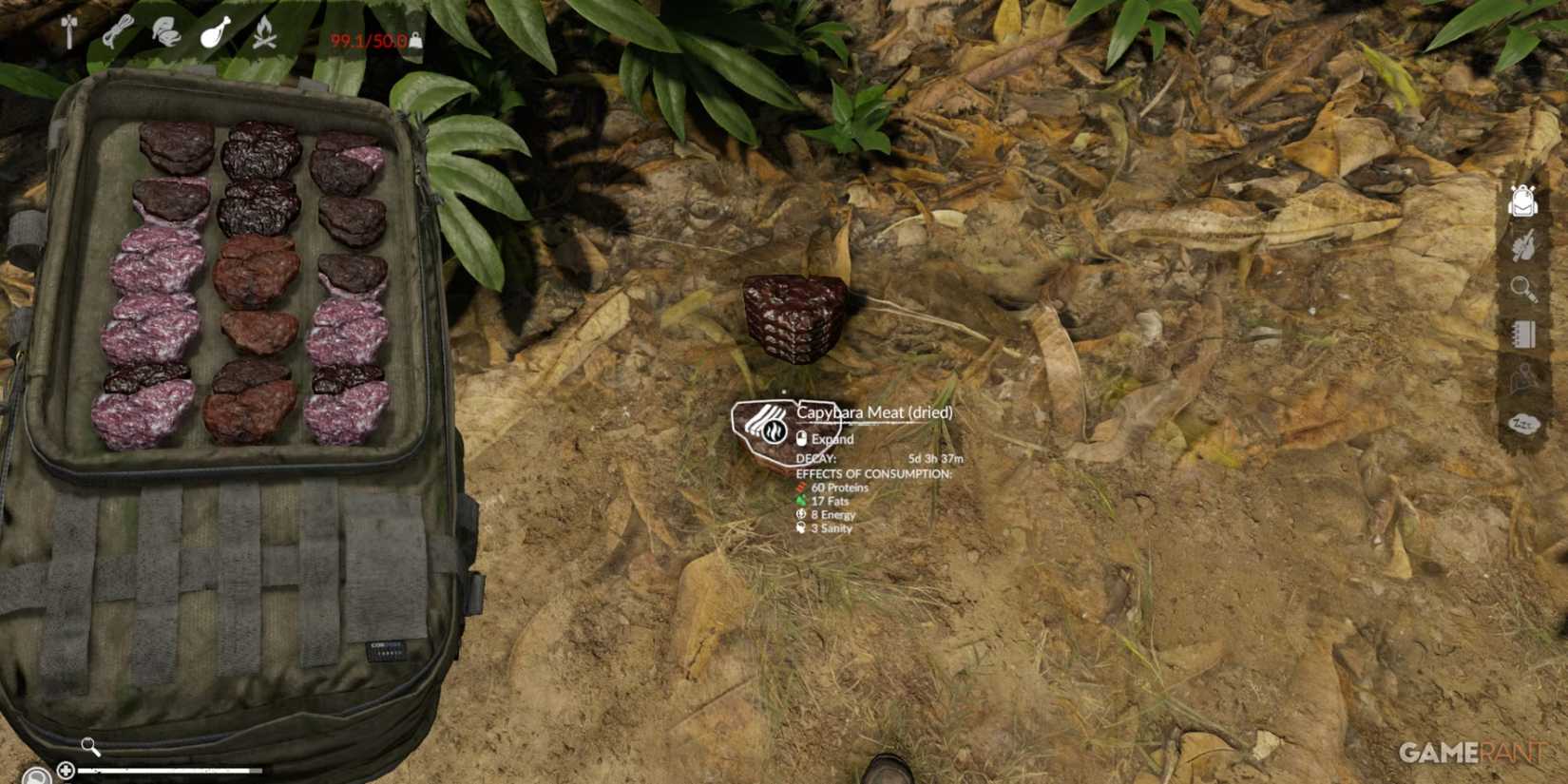 Dried Capybara Meat offering high proteins and fats, crucial for jungle survival in Green Hell