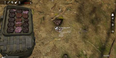 Dried Peccary Meat, rich in proteins and fats, essential for long-term survival in Green Hell