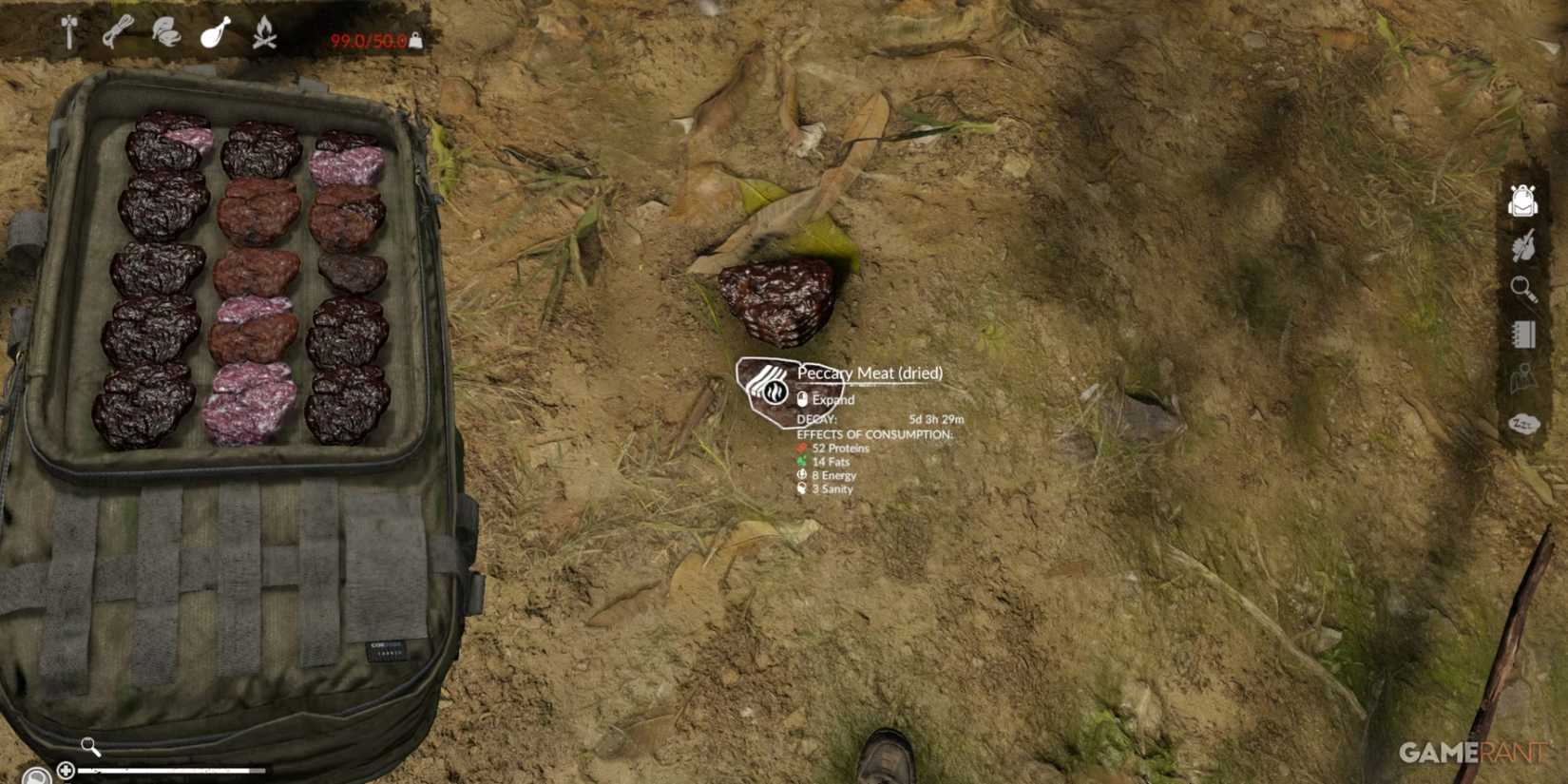 Dried Peccary Meat, rich in proteins and fats, essential for long-term survival in Green Hell