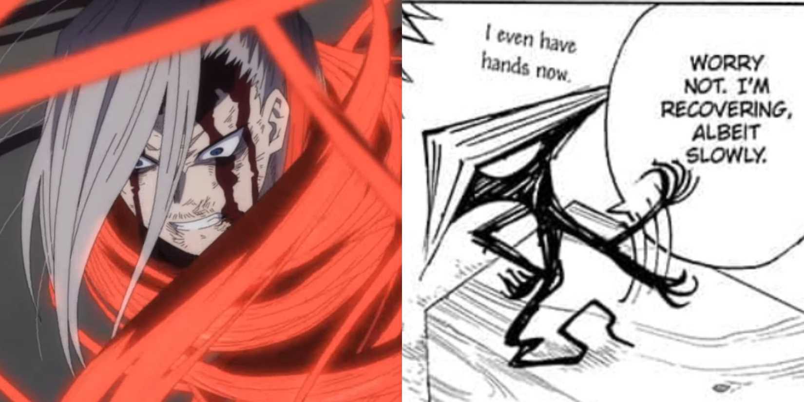 Edgeshot trying to fix Bakugo's heart and Edgeshot's final form