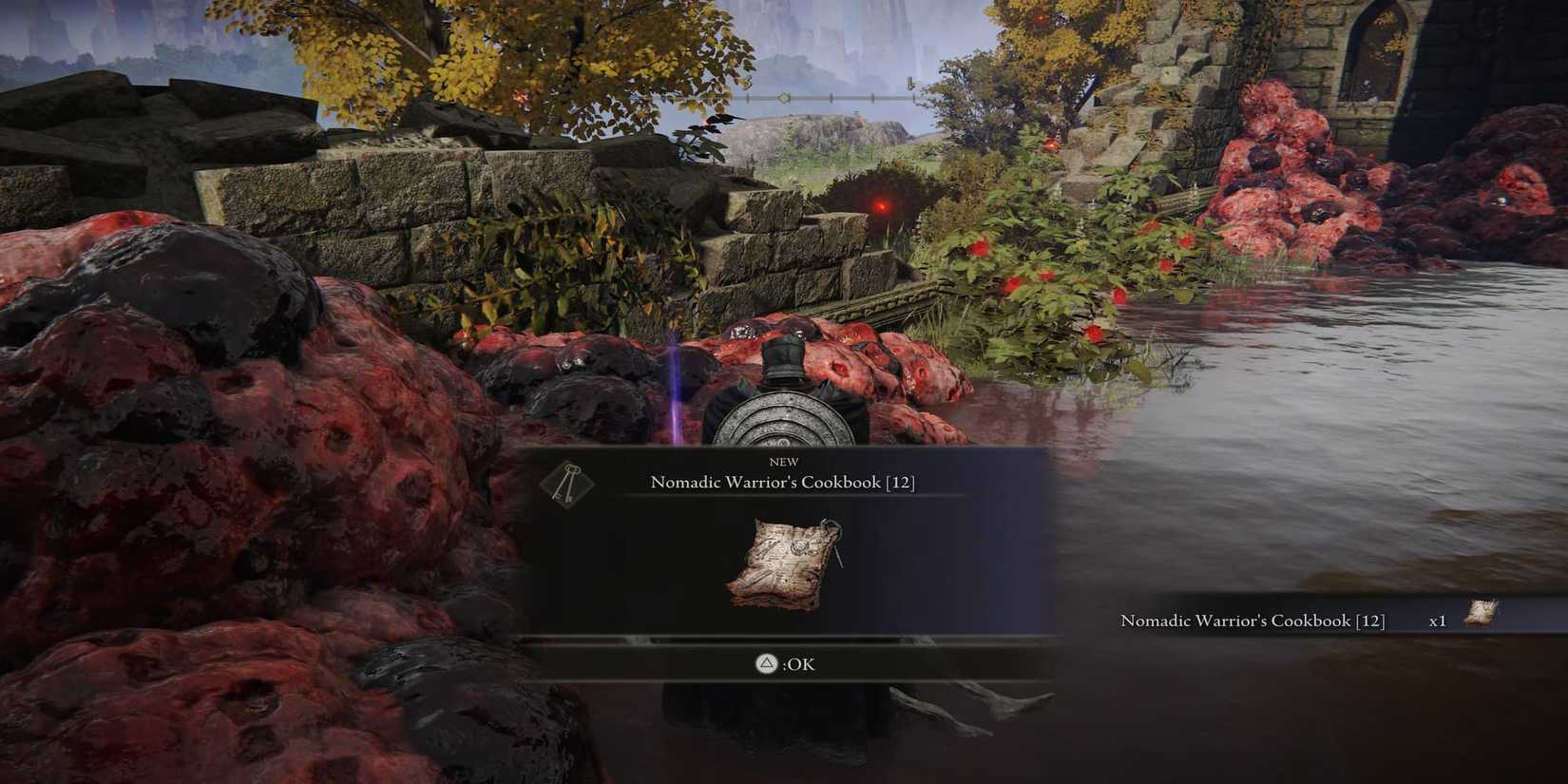 The Player Getting The Nomadic Cookbook [12]