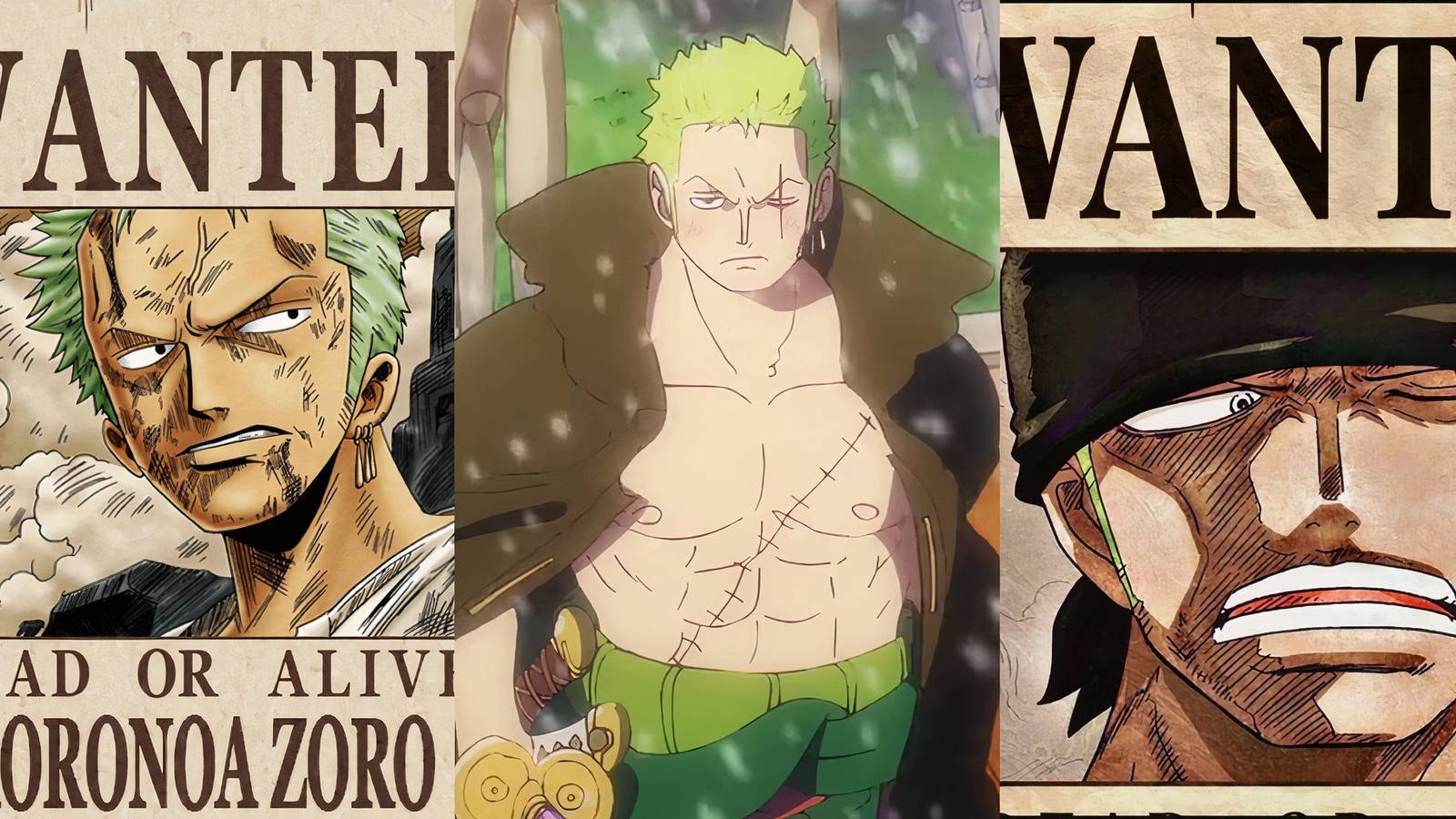 Every Bounty Roronoa Zoro one piece